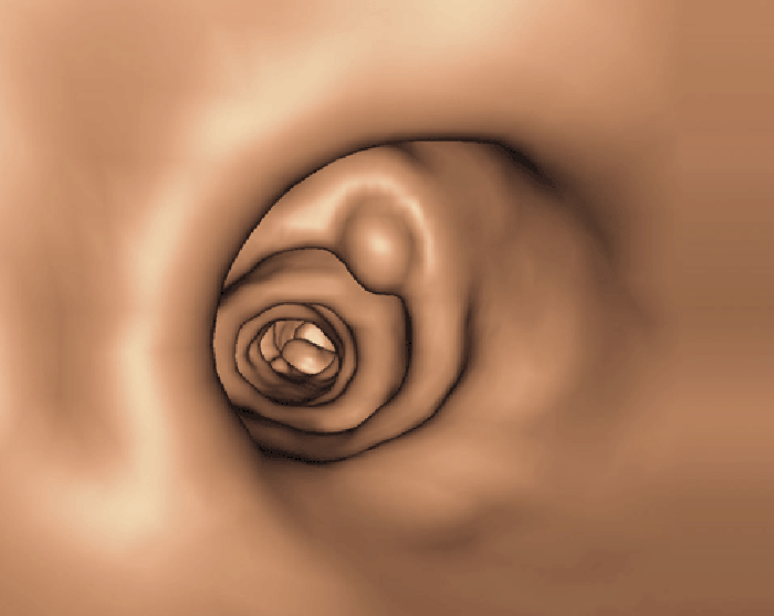 201251013195732.gif